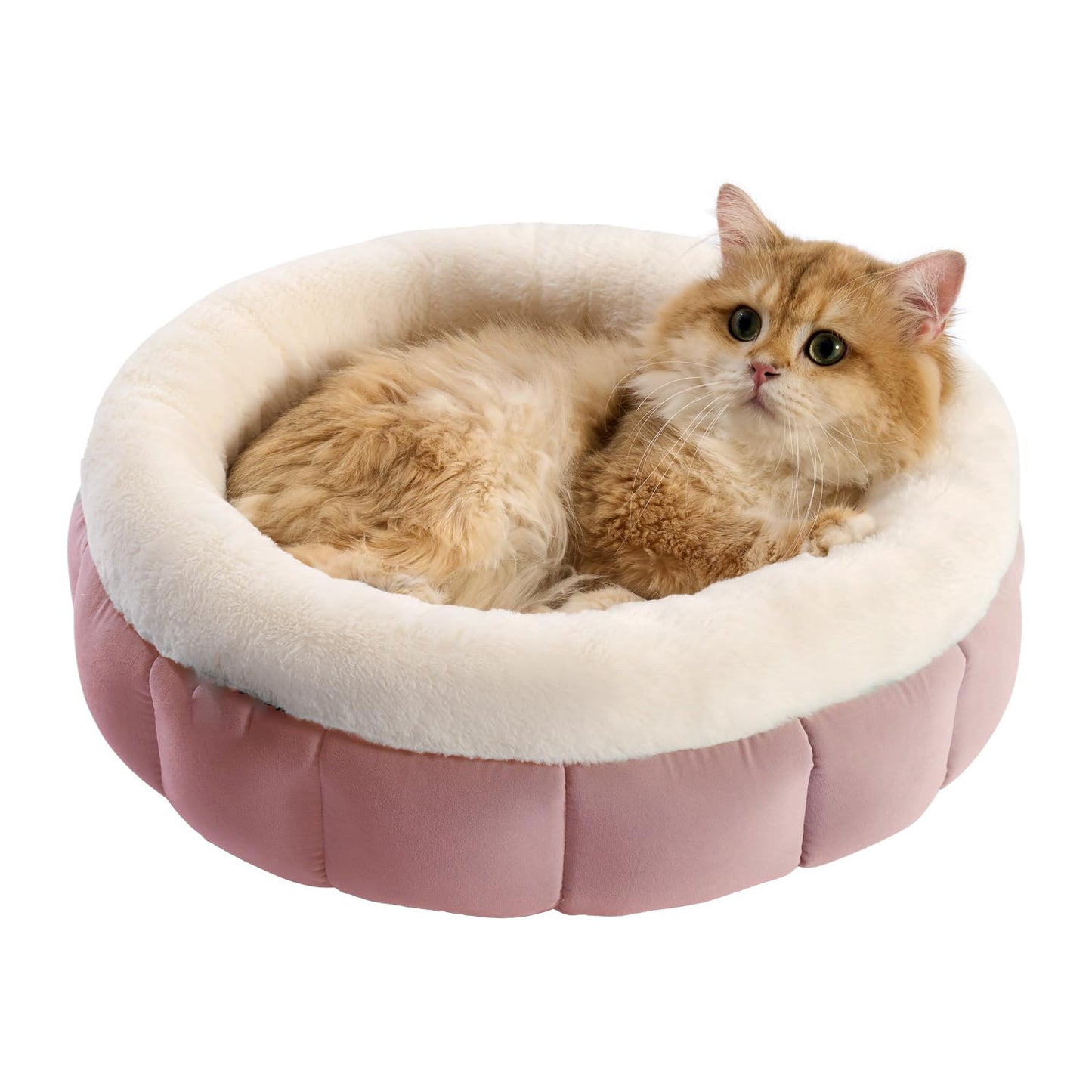 Donut Cat Beds - For Indoor Cats, Washable