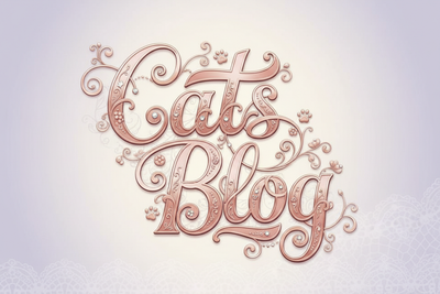 The Quiet Magic of Cats 🐾