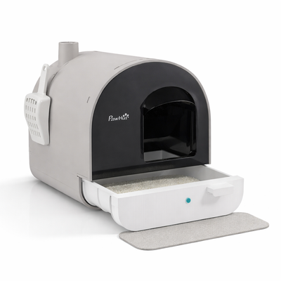 The Pawhut - Cat Litter Box With Lid With Scoop And Filter, Light Gray